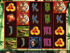 Tiger's Luck Slots